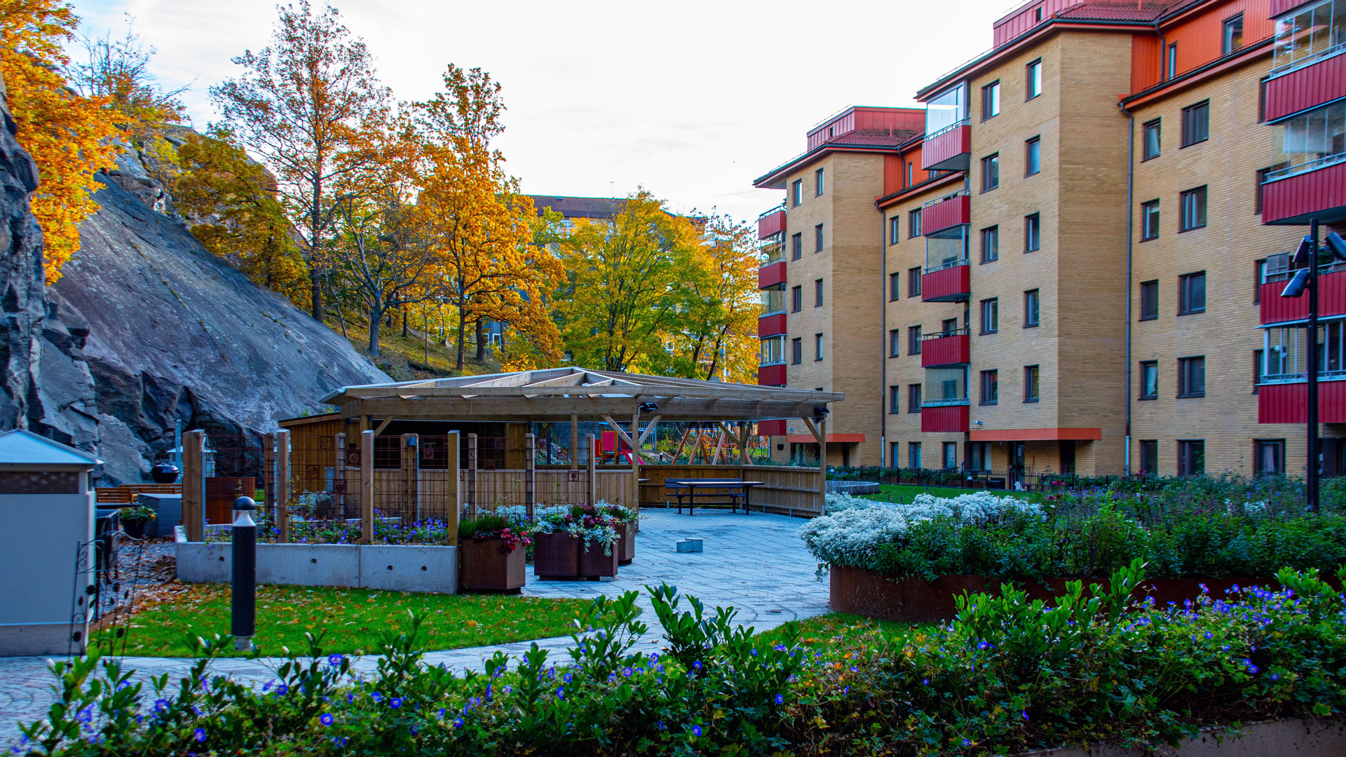 Bostadsgård med flerbostadshus, grönska och höstfärger