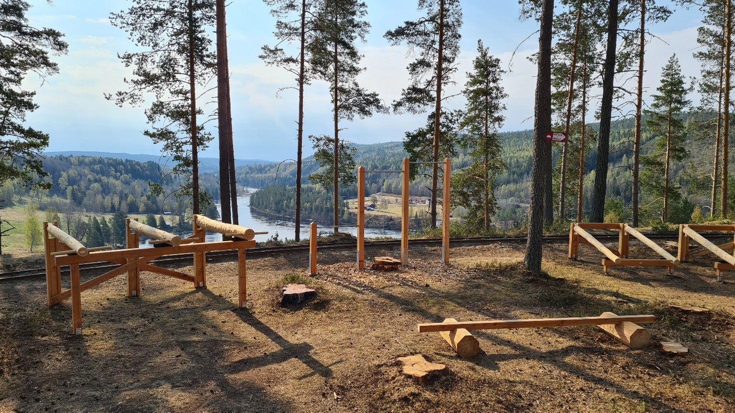 Utsiktsplats med träd och ett motionsområde i skogen, med en flod och skogslandskap i bakgrunden