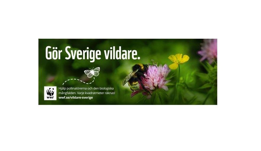 Reklambild med texten "Gör Sverige vildare" och en närbild på en humla som sitter på en blomma, omgiven av gröna växter