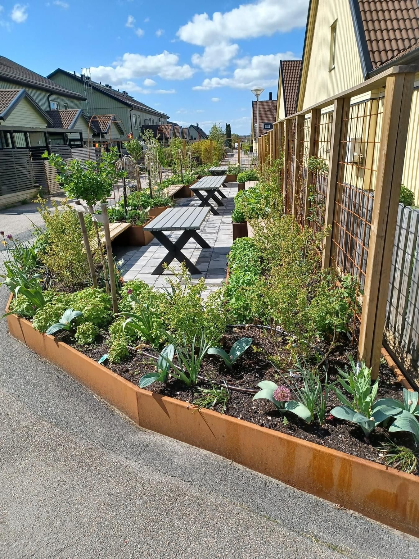 Grönskande stadsnära trädgård med planteringslådor, träd, och sittplatser på stenlagd gång. Rad av hus i bakgrunden under en blå himmel med moln