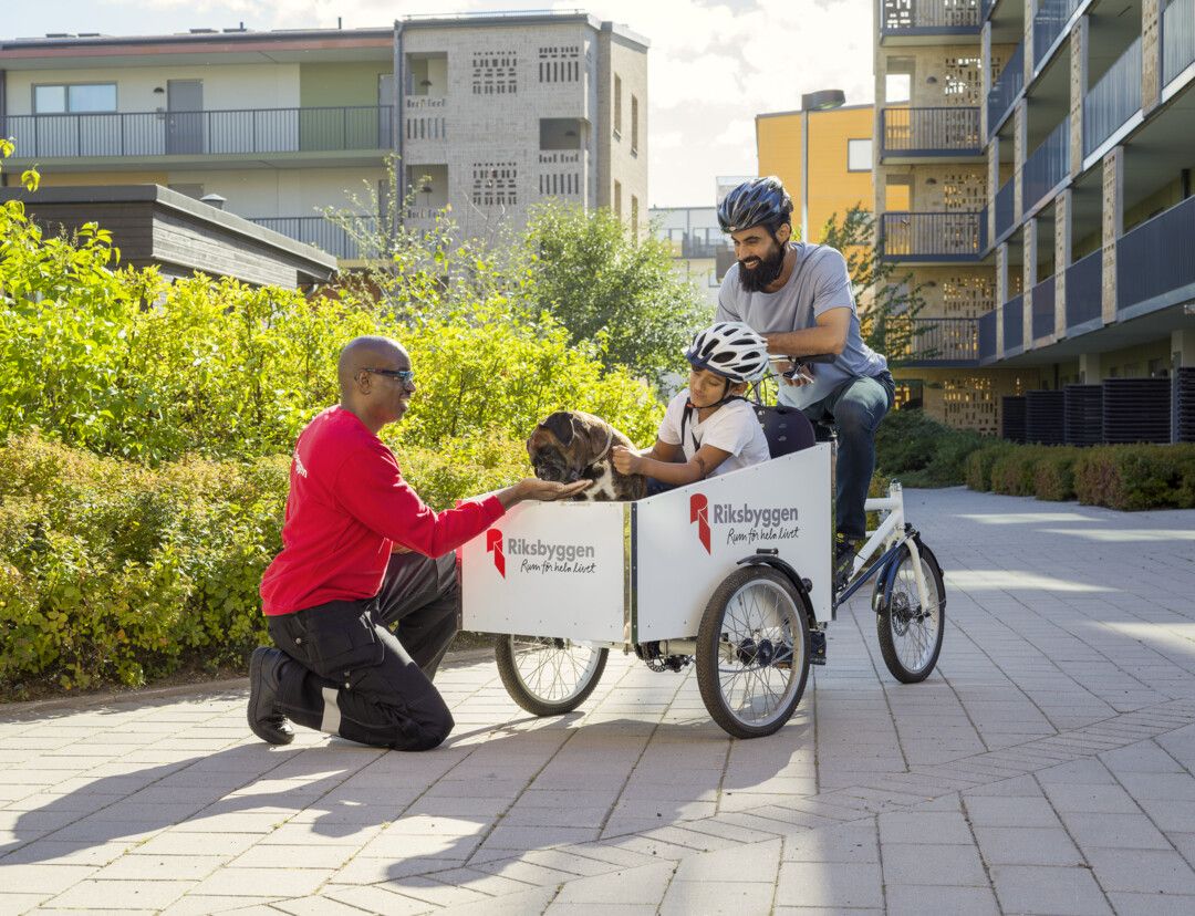 En person knäböjer och hälsar på en hund i en lådcykel som delas av en vuxen och ett barn, båda med cykelhjälmar, i en urban miljö med bostadshus och grönska i bakgrunden