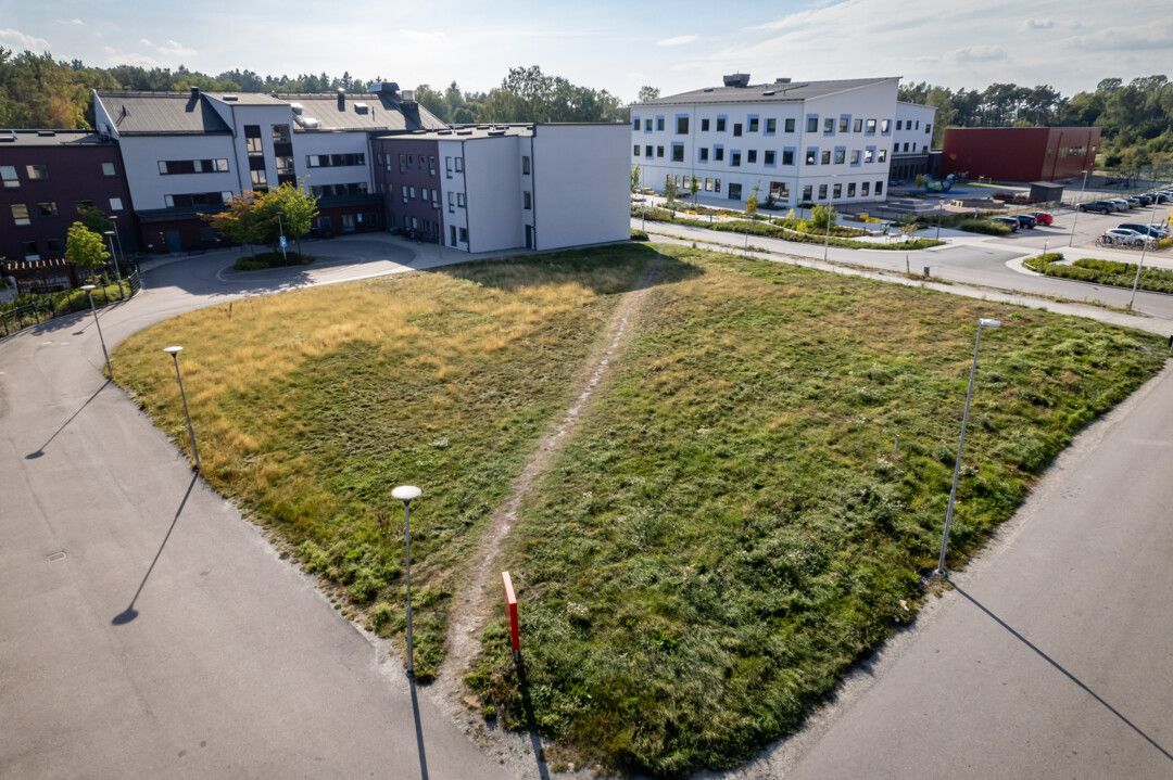Gräsbevuxen triangulär öppen yta med en smal stig genom mitten, omgiven av moderna byggnader och parkeringsplatser under en klar himmel