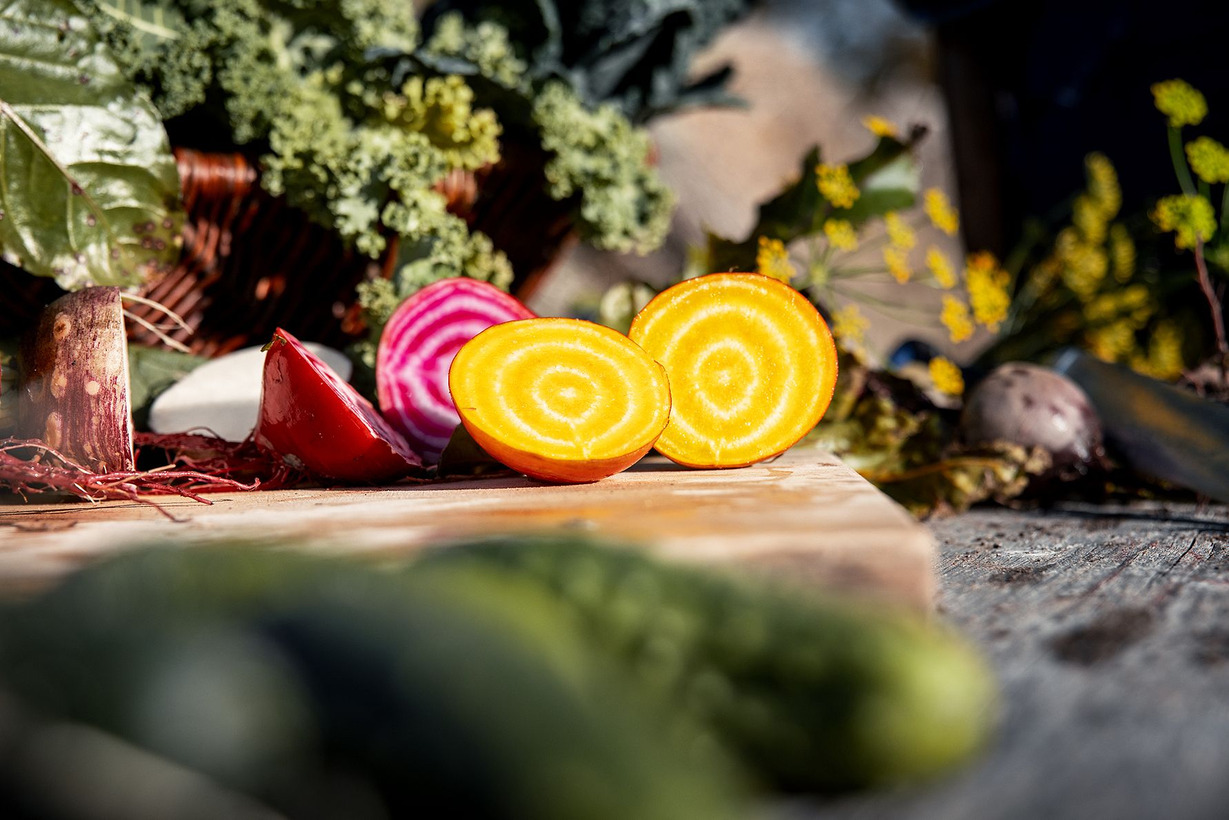 Två skivade betor, en gul och en rödbeta, ligger på en träskiva omgivna av andra grönsaker och växter i naturligt ljus