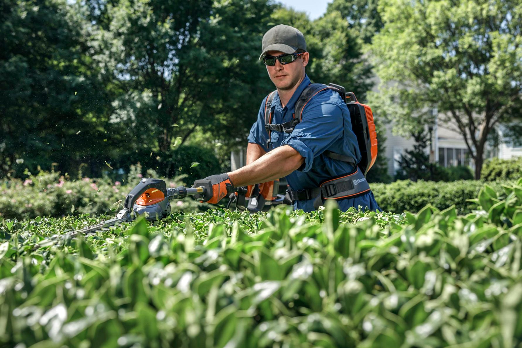 En person i arbetskläder använder en häcksax för att trimma en grön häck i en utomhusmiljö med träd i bakgrunden