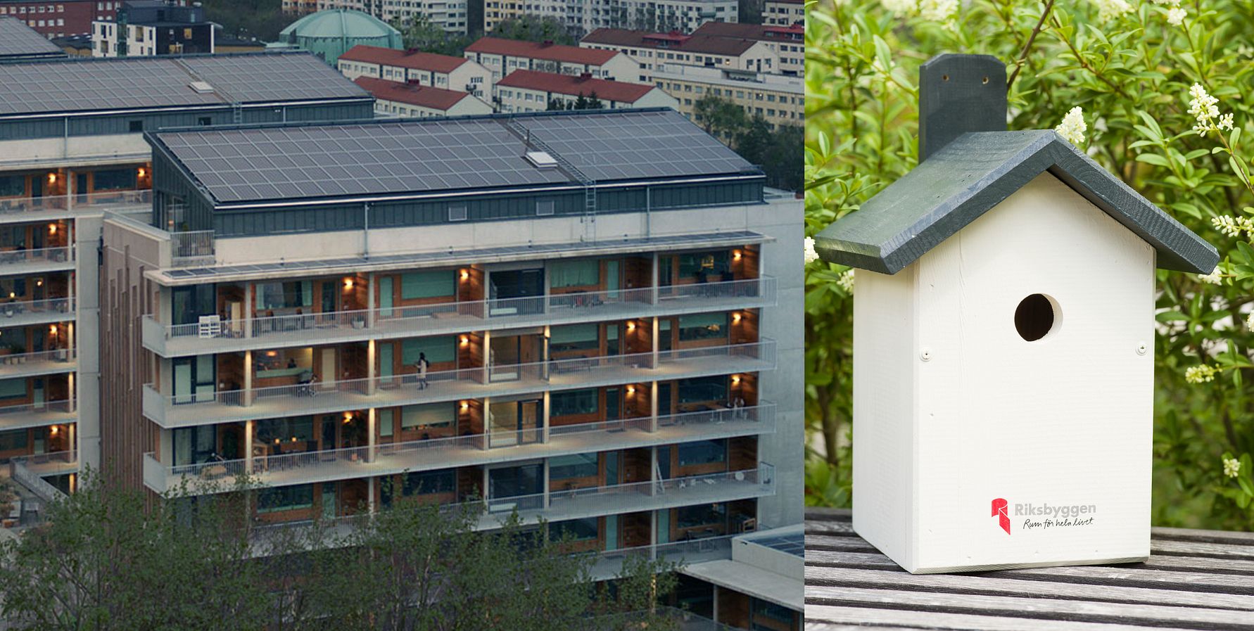 Flerfamiljshus med solpaneler på taket vid sidan av en närbild på ett vitt fågelhus med svart tak