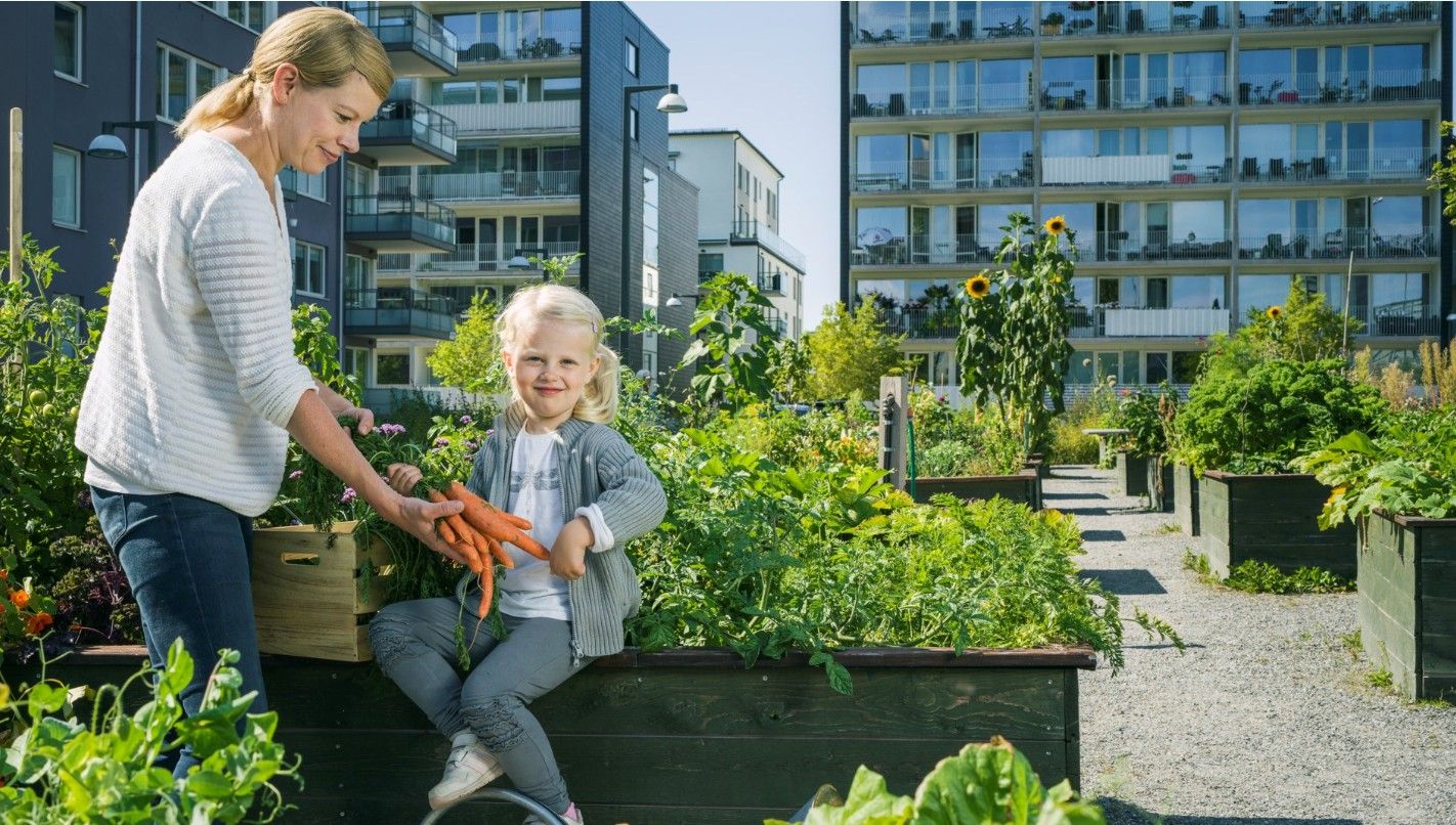 Kvinna och barn i en stadsodling, omgivna av gröna växter och höga bostadshus i bakgrunden. Barnet håller i färska morötter
