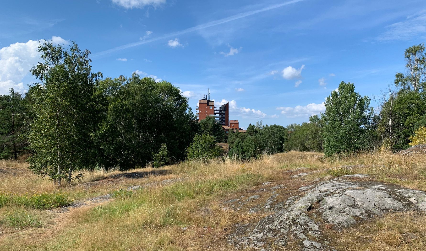 En gräsbevuxen park med träd och klippor, samt en röd byggnad i bakgrunden under en klarblå himmel