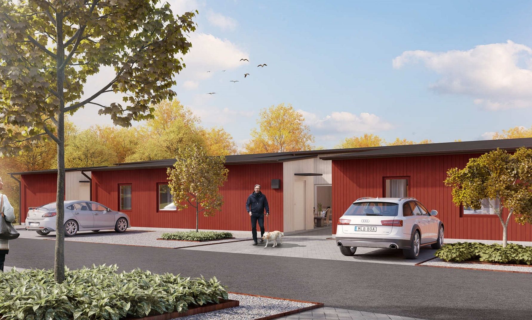 Radhus med röda fasader och vita detaljer, omgiven av träd med höstlöv. Flera parkerade bilar syns, och en person promenerar med en hund på en asfaltväg framför byggnaderna