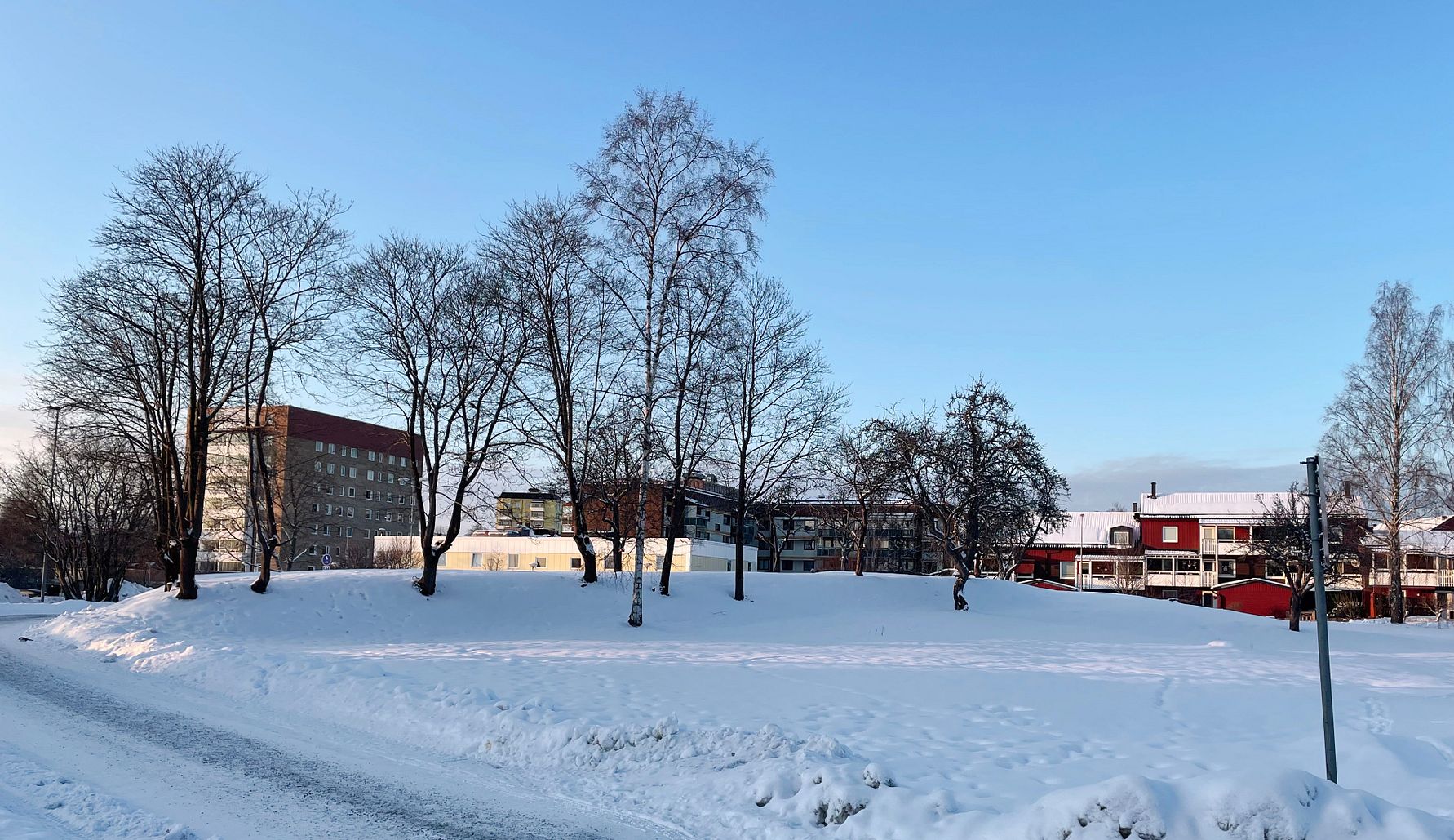 Snötäckt park med träd, byggnader och klar blå himmel i bakgrunden