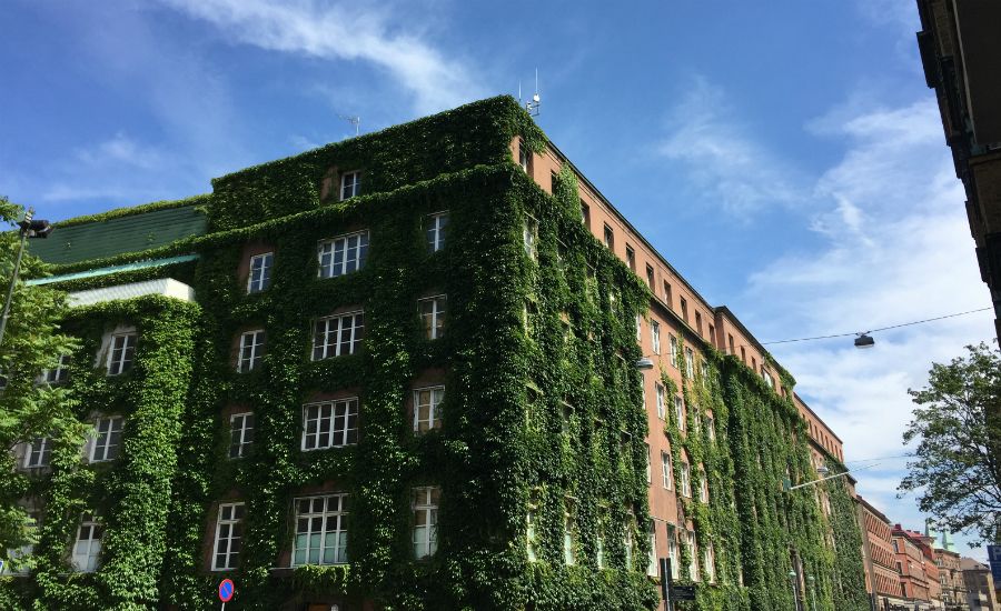 Byggnad täckt av grönskande klätterväxter under en klar blå himmel
