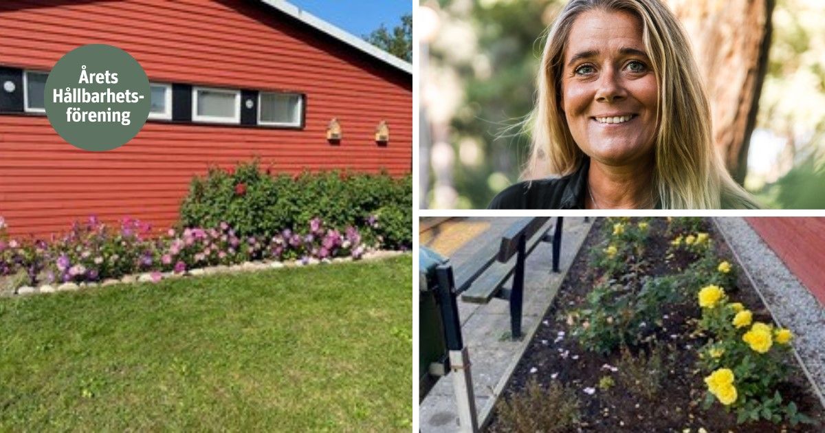 Rött trähus med blommor i trädgården, kvinna med ljust hår utomhus, samt en blomrabatt med gula blommor vid trottoaren