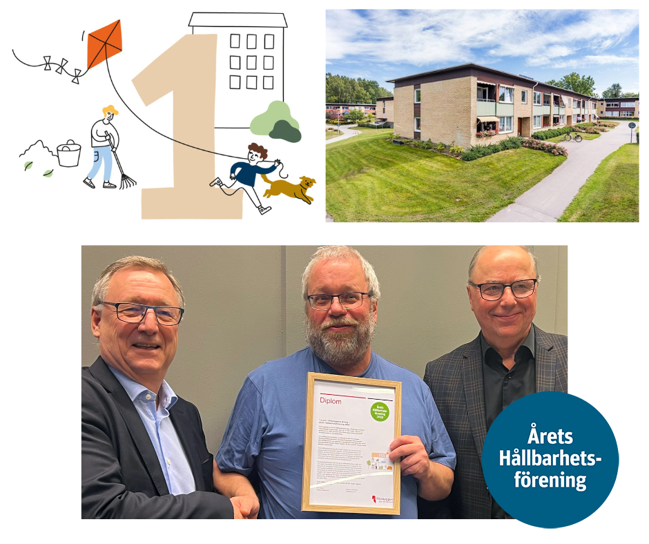 Illustration av en person som flyger drake, en byggnad och en etta, ett bostadsområde med grönska och gångvägar, tre personer som håller ett diplom, samt en text som lyder "Årets Hållbarhets-förening