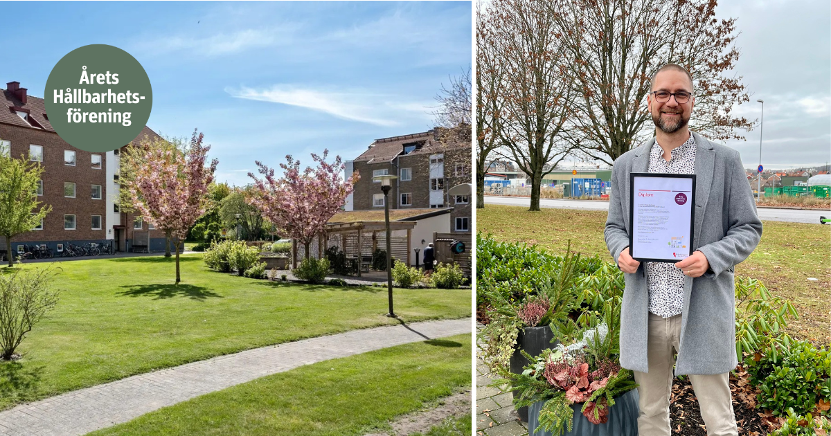 Ett grönskande bostadsområde med blommade träd, gräsmatta och trädgårdsdetaljer; en person håller ett diplom framför fler växter