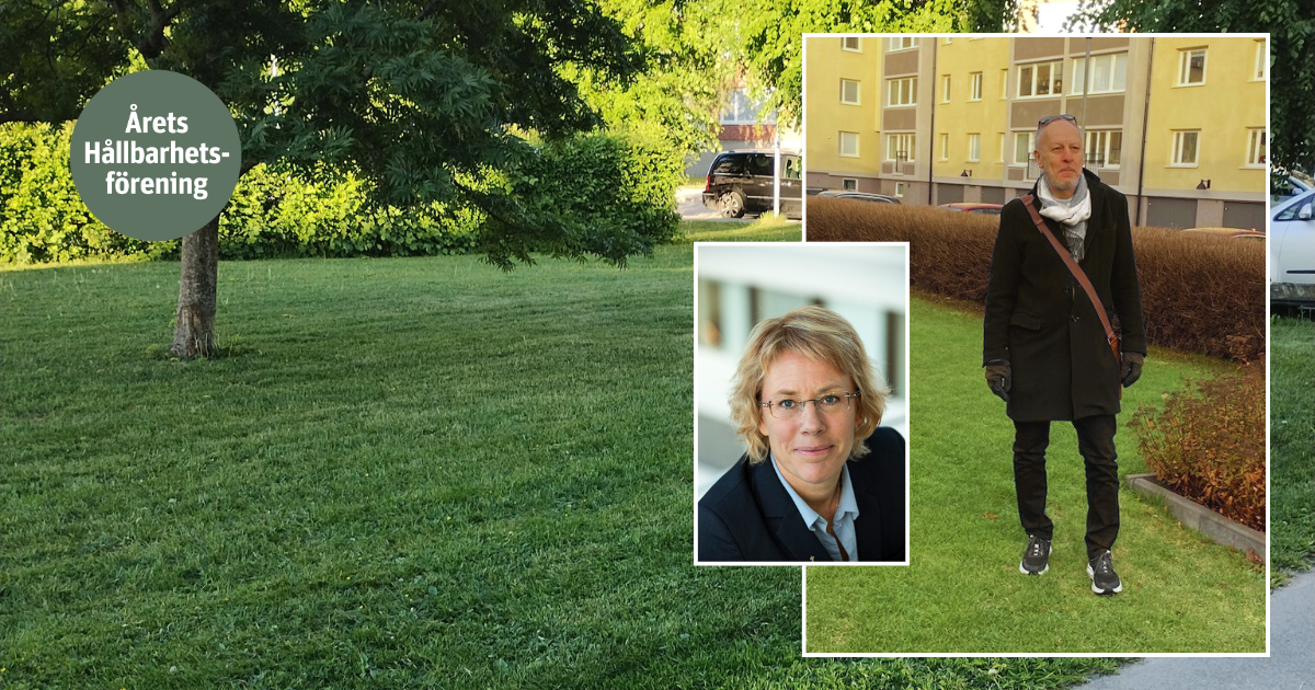 En grön gräsmatta med ett träd i bakgrunden, en person klädd i mörka kläder står på gräset, och en ruta med en porträttbild visas i förgrunden. En skylt i bilden lyder "Årets Hållbarhetsförening