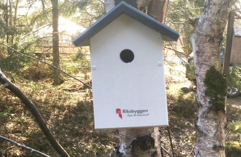 Vit fågelholk med blått tak monterad på en trädstam, omgiven av skogsmiljö. Texten "Riksbyggen" syns på holken