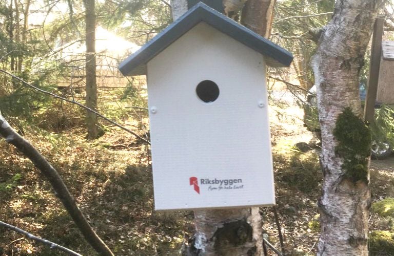 Vit fågelholk med blått tak monterad på en trädstam, omgiven av skogsmiljö. Texten "Riksbyggen" syns på holken
