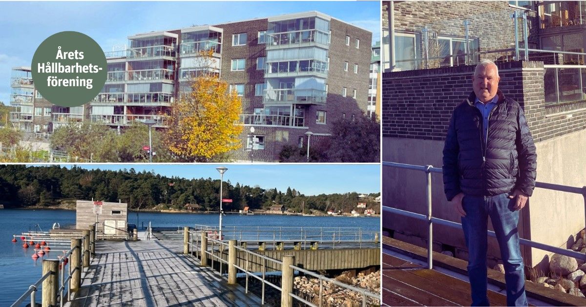 Flerbostadshus vid vattnet med brygga i förgrunden och skog i bakgrunden. En person står vid ett räcke bredvid en byggnad