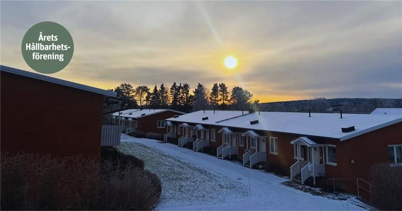Radhus i ett vinterlandskap med snö på taken och marken, solnedgång och träd i bakgrunden