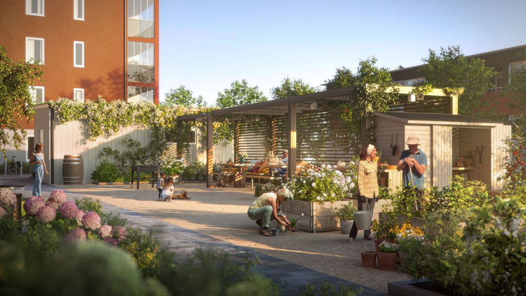 Gemensam trädgård med människor som sköter växter och umgås, omgiven av grönska, blomlådor och byggnader i bakgrunden