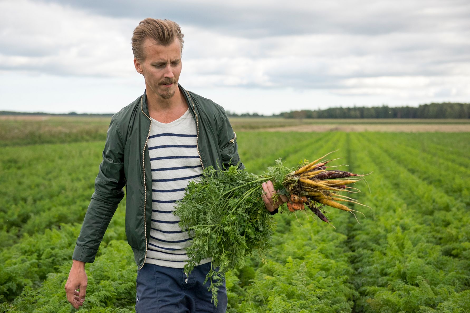 Man in a green jacket and striped shirt holding freshly harvested carrots while walking through a lush green field
