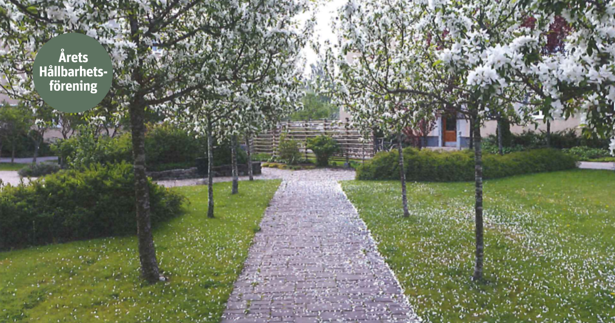 Stenlagd gångväg omgiven av grönt gräs och blommande träd i en trädgårdsmiljö. Skylt med texten "Årets Hållbarhetsförening" syns i bilden