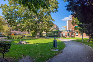 Grön park med stora träd, gräsmatta och gångväg, omgiven av byggnader under en klarblå himmel