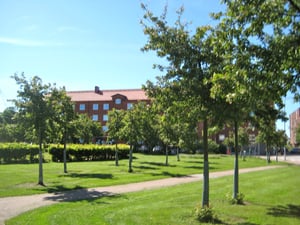 Grön park med gräsmattor, träd och gångvägar, med ett tegelbyggnad i bakgrunden under en klarblå himmel