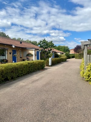 Gångväg omgiven av gröna häckar, med radhus i tegel och blåa dörrar under en himmel med vita moln
