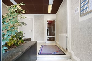 Ingång med trappsteg, dörrar och mattor, omgiven av väggar med ljus tapet och takbelysning; en växt i hörnet och skyltar på väggen