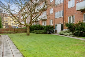 Gräsmatta framför ett flerfamiljshus med tegelfasad, gångväg, träd och buskar