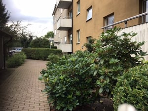 Flerfamiljshus med gul fasad, balkonger och en stenlagd gång omgiven av gröna buskar och häckar