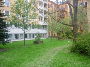 Grönyta med träd och buskar framför bostadsbyggnader i gul och beige färg