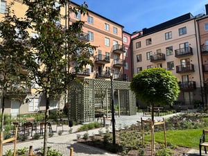 Innergård med grönska, träd och buskar, omgiven av flerbostadshus med balkonger under en klarblå himmel