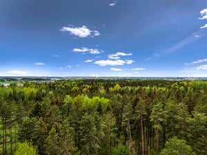 Utsikt över en skog med gröna trädtoppar under en klar blå himmel med några moln