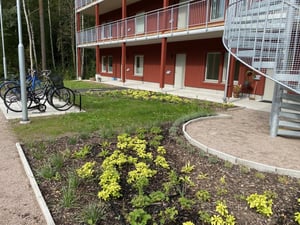 Tomt utomhusområde vid flerfamiljshus med cykelparkering, grönska och spiraltrappa