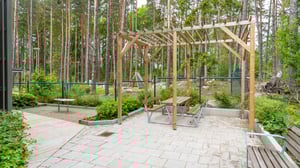 Uteplats med träpergola, sittbänkar och bord i en skogsmiljö