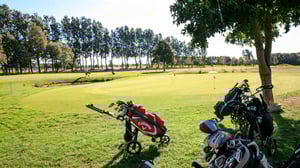 Golfbana med flera golfbagar och träd i förgrunden