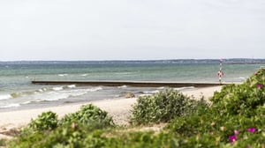 Strand med brygga vid havet och grönskande buskar i förgrunden