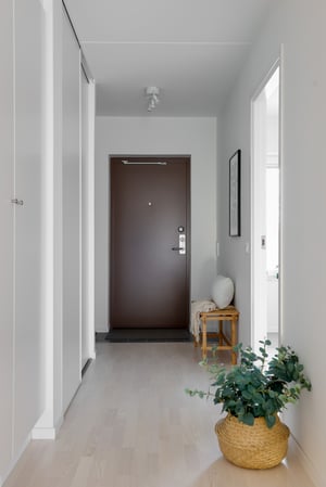 Tomt rum med ljusa väggar, brun ytterdörr och en krukväxt i entrén