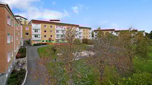 Bostadsgård med flerbostadshus, gångväg, träd och cyklar