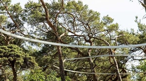 Skogslandskap med tallar och svängda metallräcken bland träden i Helsingborg