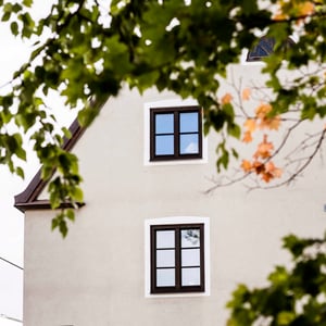 Flerfamiljshus med ljus fasad och två fönster, sedd genom gröna löv