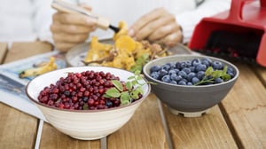 Två skålar med röda lingon och blåbär på ett bord, med händer som förbereder mat i bakgrunden