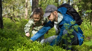 En man och ett barn plockar bär i skogen