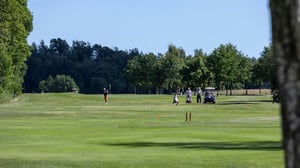 Person spelar golf på en grön golfbana med golfbilar och träd i bakgrunden