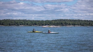 Två personer paddlar kajak på öppet vatten med skogsklädd kust i bakgrunden