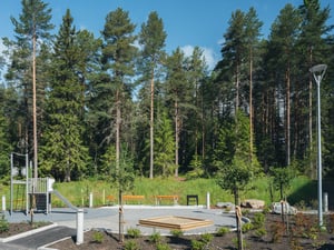 Lekplats i skogsmiljö med tallar, bänkar och en rutschkana