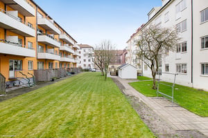 Flerfamiljshus med gräsmatta, gångväg och träd i en innergård under klar himmel