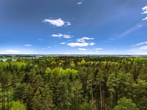 Utsikt över en skog med gröna trädtoppar under en klar blå himmel med några moln