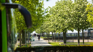 Promenadstråk med träd och människor i en grön stadsmiljö